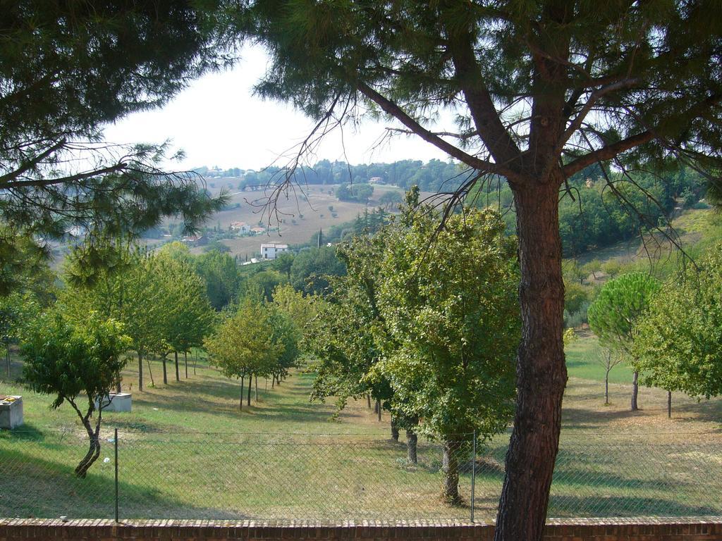 Apartment Da Roby Corinaldo
